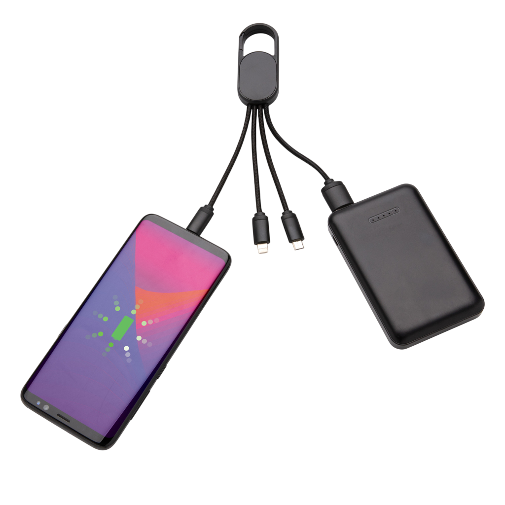 4-in-1 cable with carabiner clip