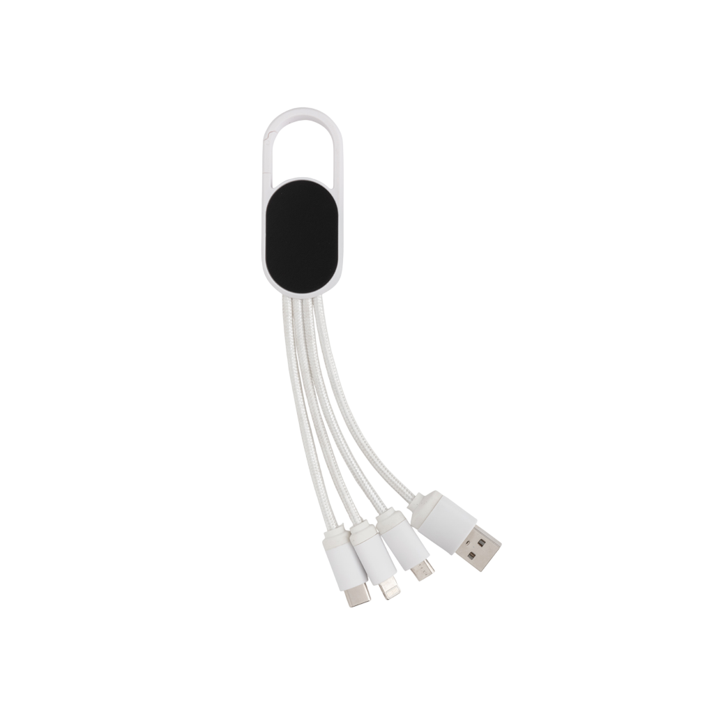 4-in-1 cable with carabiner clip