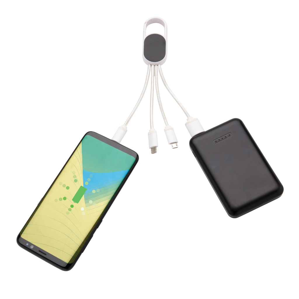 4-in-1 cable with carabiner clip