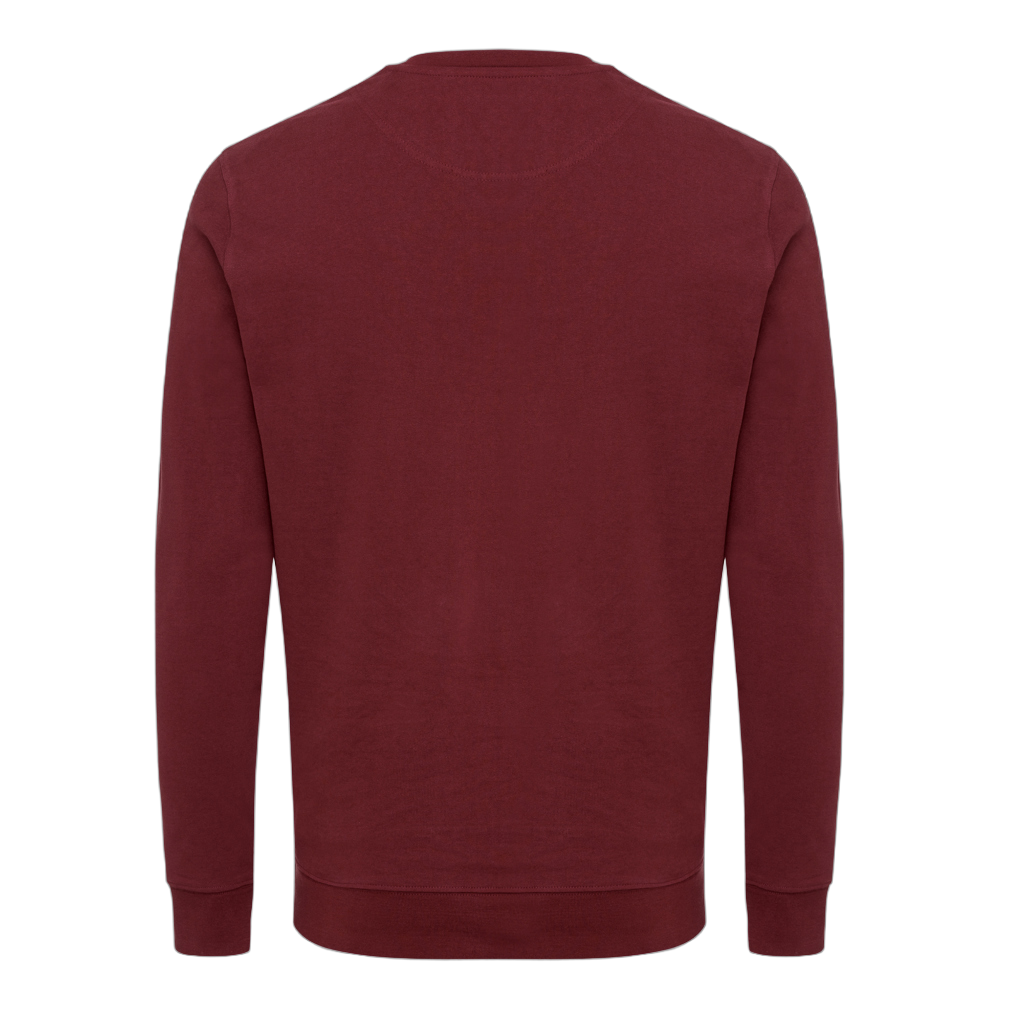 IQONIQ Zion recycled cotton crew neck
