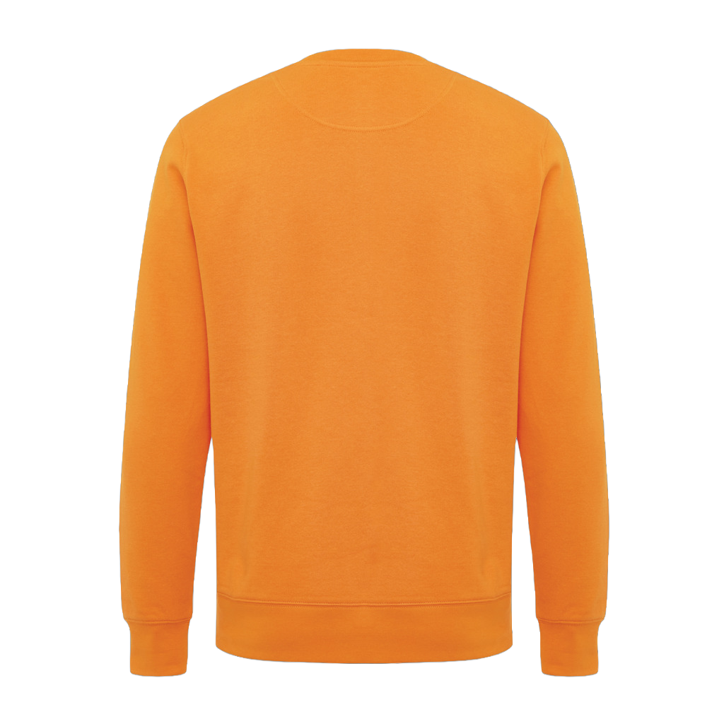 IQONIQ Etosha lightweight recycled cotton crew neck