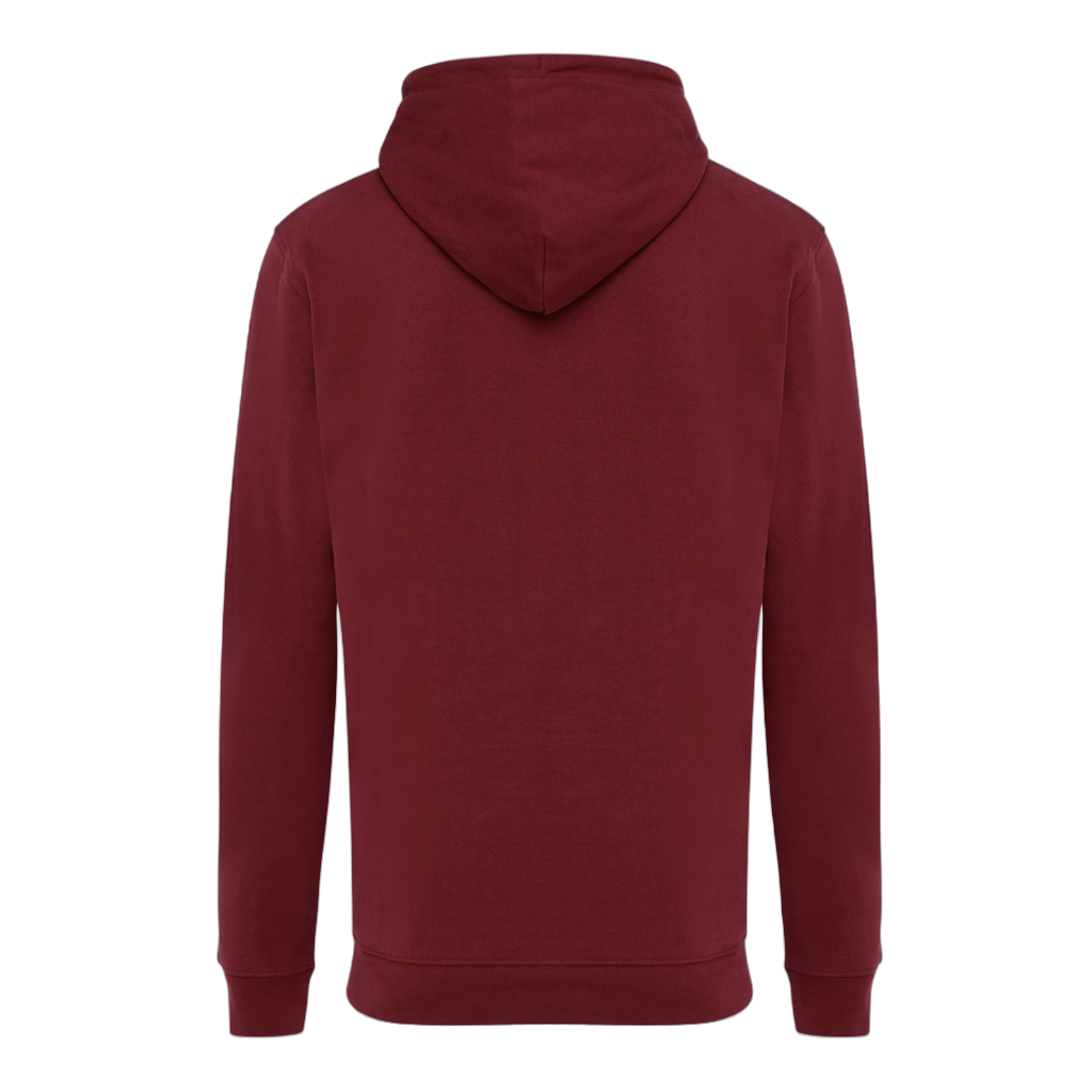 IQONIQ Jasper recycled cotton hoodie