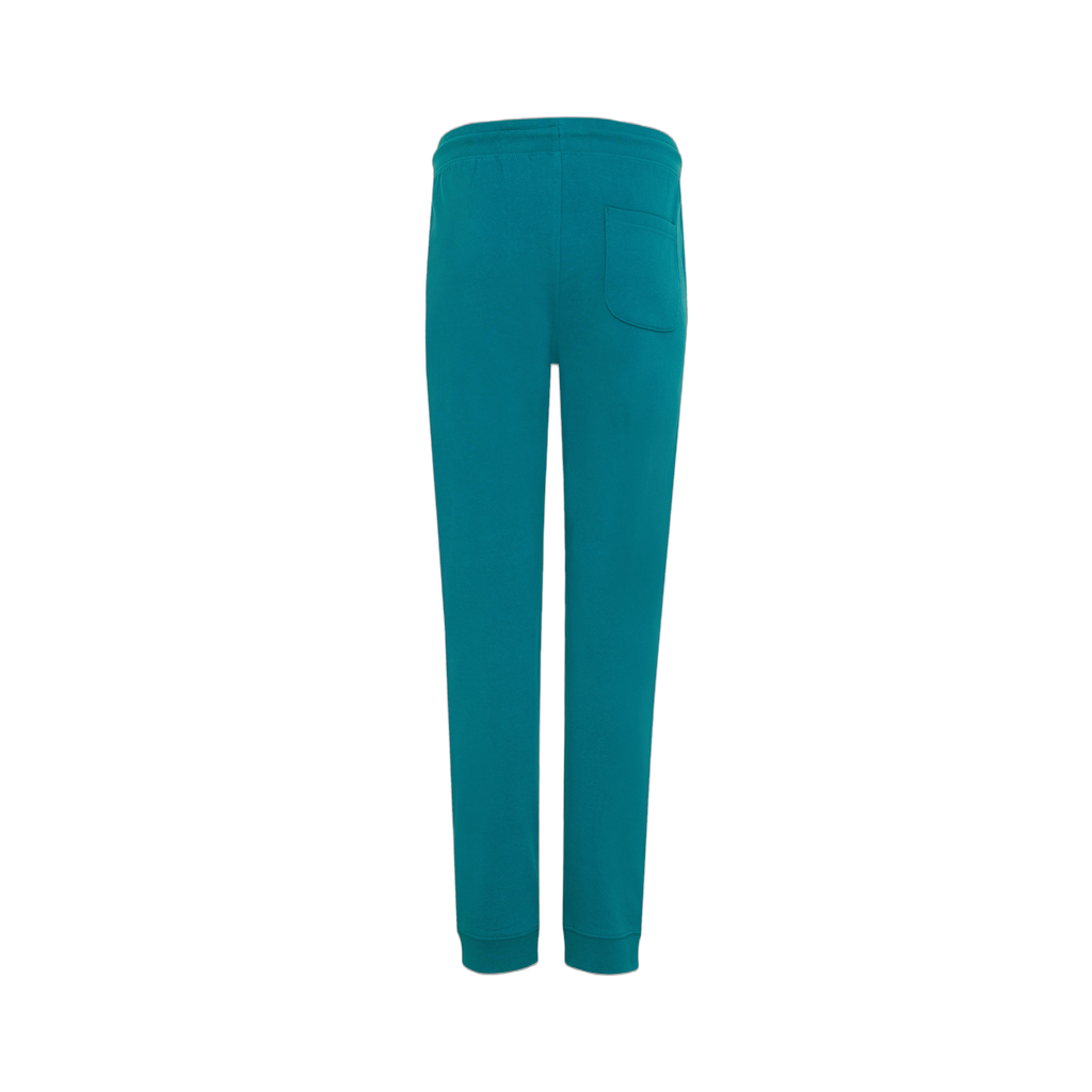 IQONIQ Cooper recycled cotton jogger